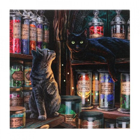 Tablou canvas cu led Magical Emporium - Lisa Parker, 30x30cm